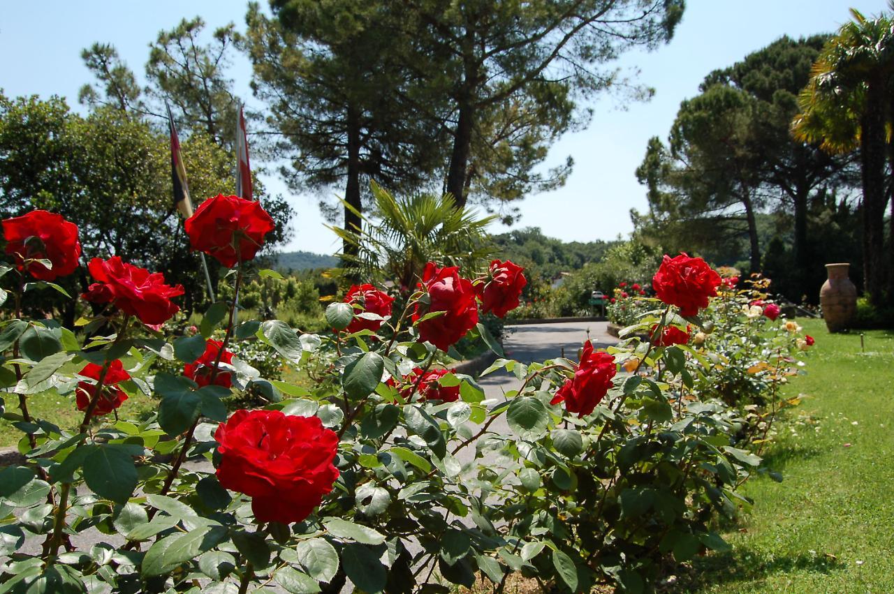 West Garda Hotel Padenghe sul Garda Bagian luar foto